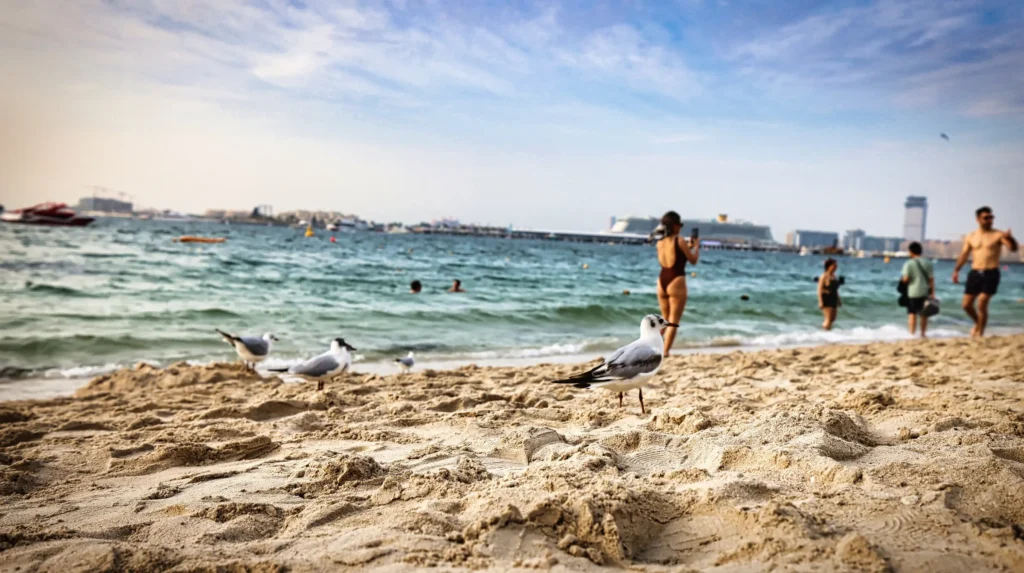 Dubai Marina Beach at Sunset with Modern Skyline