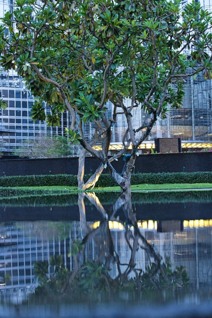 ree reflected in still water with modern urban background — cinematic nature meets architecture by DICAPLO