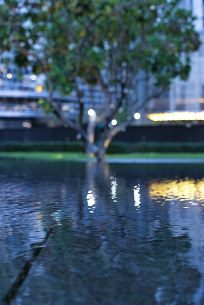 ree reflected in still water with modern urban background — cinematic nature meets architecture by DICAPLO