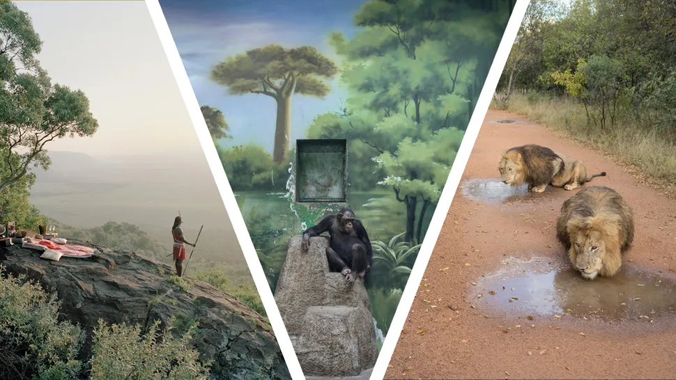 Zed Nelson wins Sony World Photography Awards 2025 – world of photography articles & filmmaking-industry-news